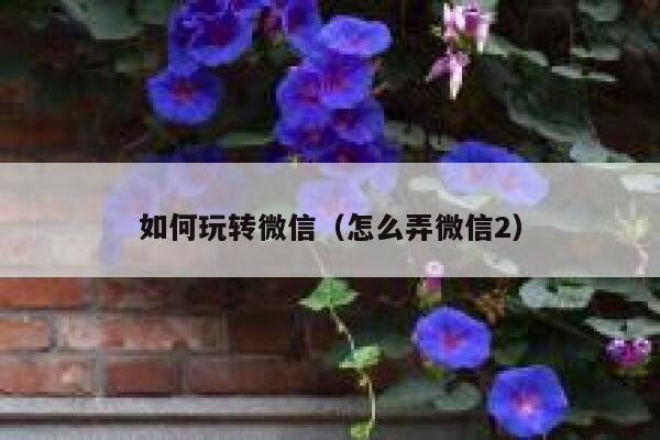 如何玩转微信（怎么弄微信2） 第1张