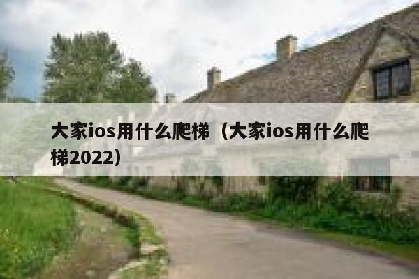 大家ios用什么爬梯（大家ios用什么爬梯2022） 第1张