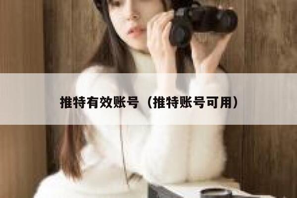 推特有效账号（推特账号可用） 第1张