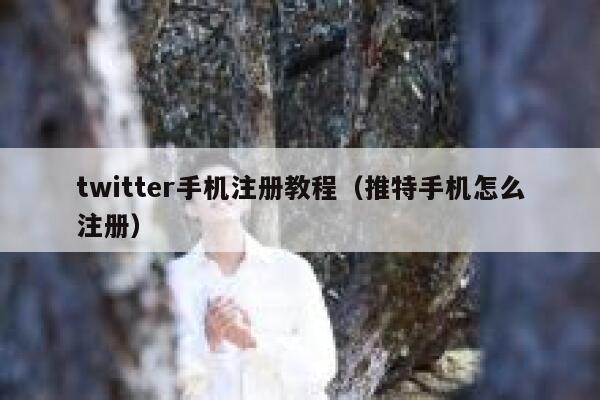 twitter手机注册教程（推特手机怎么注册） 第1张