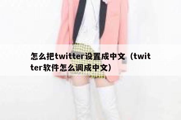 怎么把twitter设置成中文（twitter软件怎么调成中文） 第1张