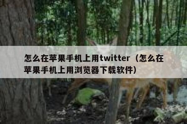 怎么在苹果手机上用twitter（怎么在苹果手机上用浏览器下载软件） 第1张