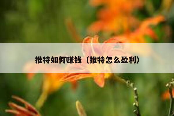 推特如何赚钱（推特怎么盈利） 第1张