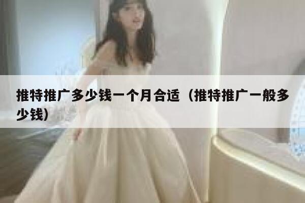推特推广多少钱一个月合适（推特推广一般多少钱） 第1张