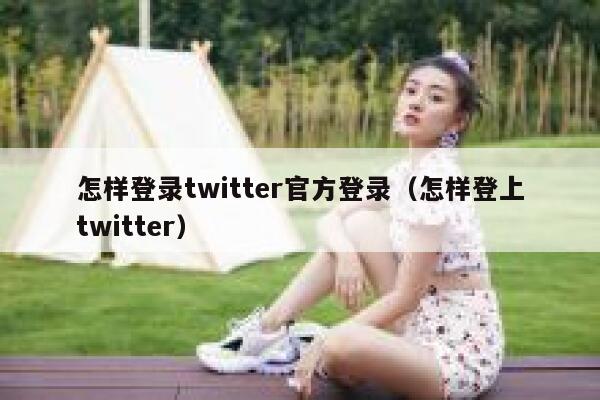 怎样登录twitter官方登录（怎样登上twitter） 第1张