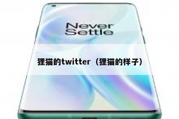 狸猫的twitter（狸猫的样子） 第1张