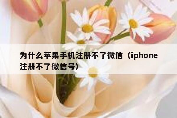 为什么苹果手机注册不了微信（iphone注册不了微信号） 第1张