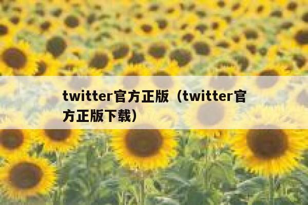 twitter官方正版（twitter官方正版下载） 第1张