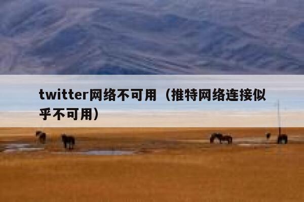 twitter网络不可用（推特网络连接似乎不可用） 第1张