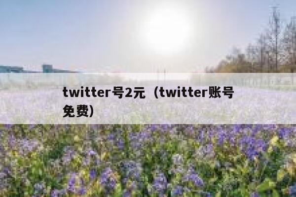 twitter号2元（twitter账号免费） 第1张