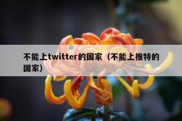 不能上twitter的国家（不能上推特的国家） 第1张