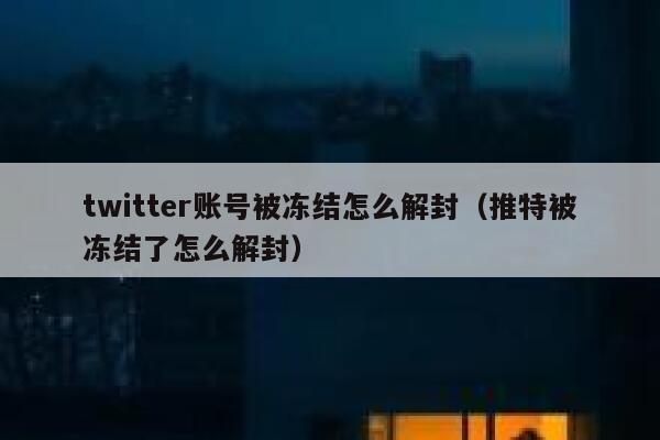 twitter账号被冻结怎么解封（推特被冻结了怎么解封） 第1张