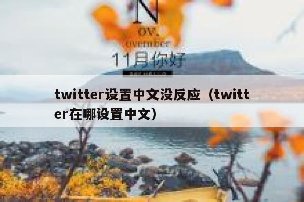 twitter设置中文没反应（twitter在哪设置中文） 第1张
