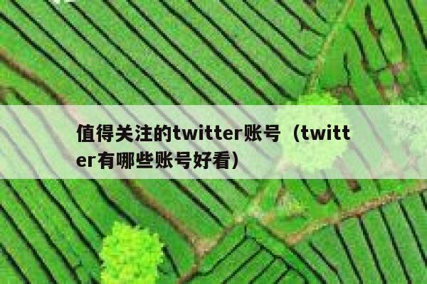 值得关注的twitter账号（twitter有哪些账号好看） 第1张