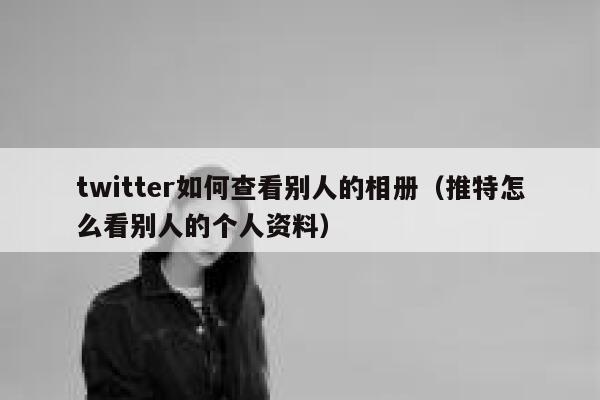twitter如何查看别人的相册（推特怎么看别人的个人资料） 第1张