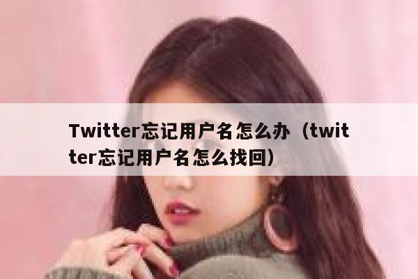 Twitter忘记用户名怎么办（twitter忘记用户名怎么找回） 第1张