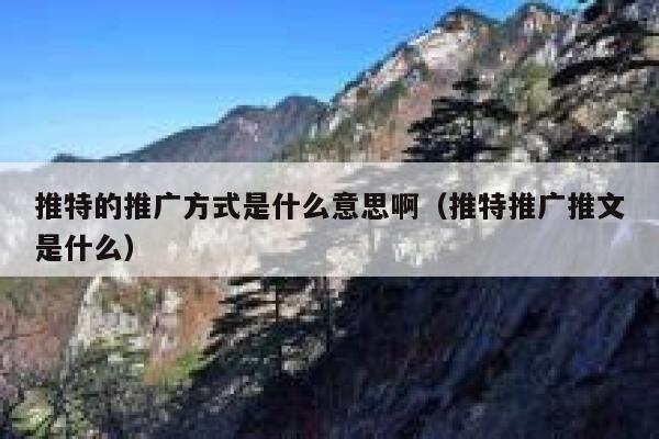 推特的推广方式是什么意思啊（推特推广推文是什么） 第1张