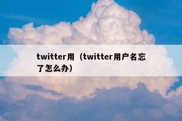 twitter用（twitter用户名忘了怎么办） 第1张