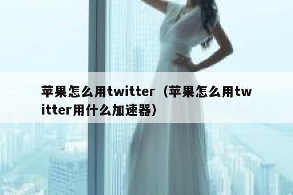 苹果怎么用twitter（苹果怎么用twitter用什么加速器） 第1张