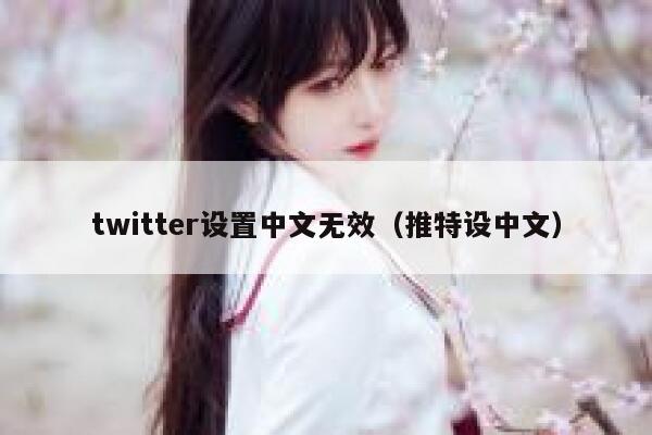 twitter设置中文无效（推特设中文） 第1张