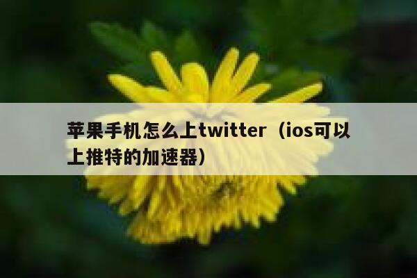 苹果手机怎么上twitter（ios可以上推特的加速器） 第1张
