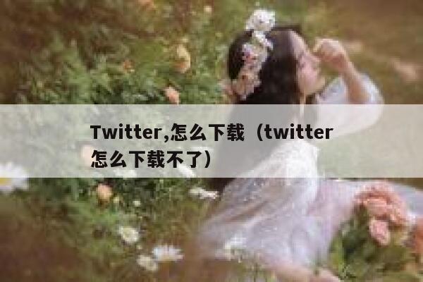 Twitter,怎么下载（twitter怎么下载不了） 第1张