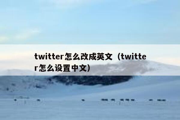 twitter怎么改成英文（twitter怎么设置中文） 第1张