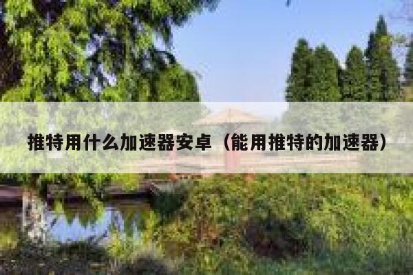 推特用什么加速器安卓（能用推特的加速器） 第1张