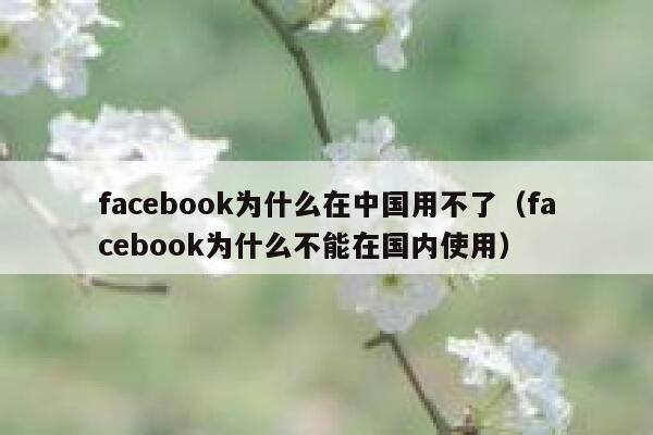 facebook为什么在中国用不了（facebook为什么不能在国内使用） 第1张