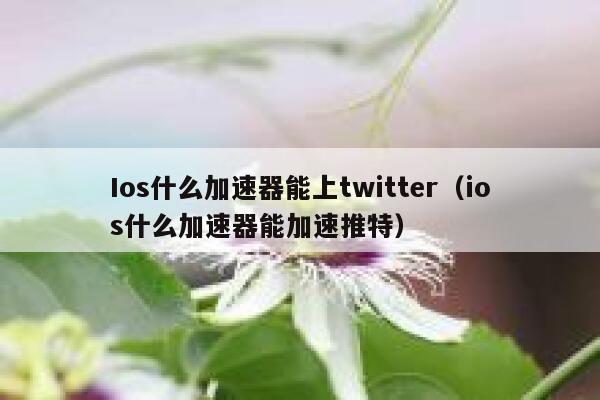 Ios什么加速器能上twitter（ios什么加速器能加速推特） 第1张