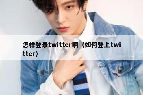 怎样登录twitter啊（如何登上twitter） 第1张