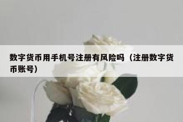 数字货币用手机号注册有风险吗（注册数字货币账号） 第1张