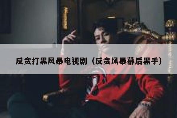 反贪打黑风暴电视剧（反贪风暴幕后黑手） 第1张