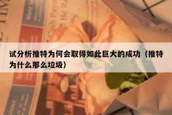 试分析推特为何会取得如此巨大的成功（推特为什么那么垃圾） 第1张