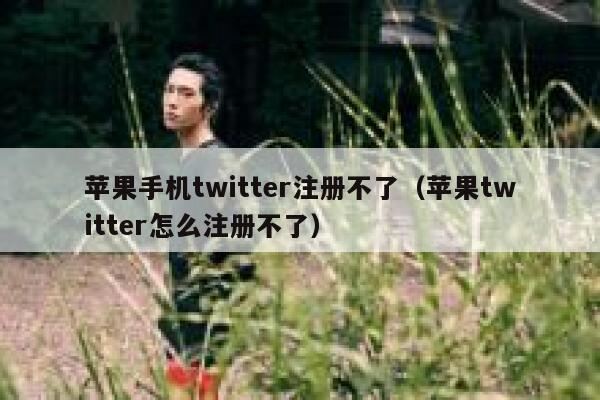 苹果手机twitter注册不了（苹果twitter怎么注册不了） 第1张
