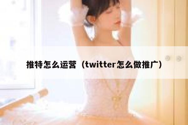 推特怎么运营（twitter怎么做推广） 第1张