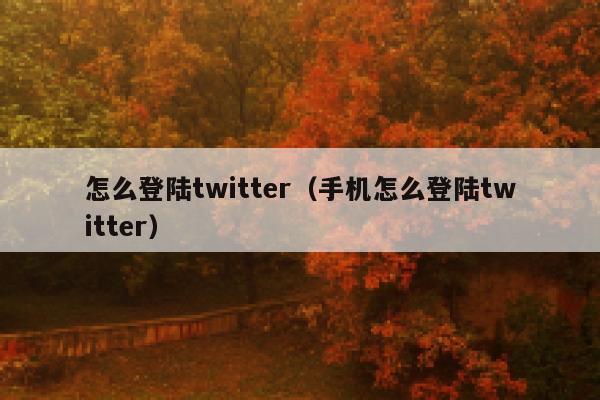 怎么登陆twitter（手机怎么登陆twitter） 第1张