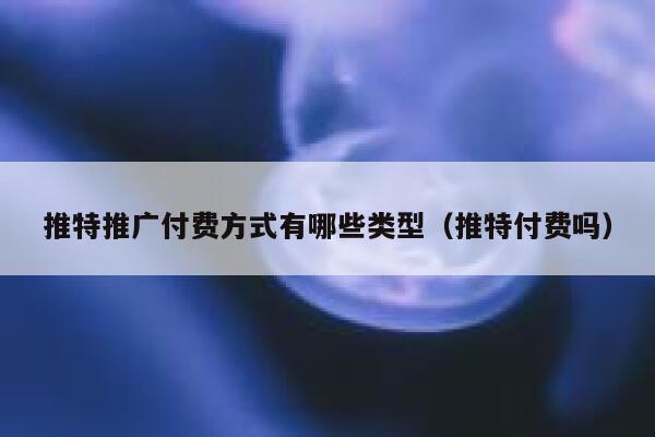 推特推广付费方式有哪些类型（推特付费吗） 第1张
