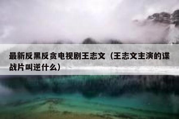 最新反黑反贪电视剧王志文（王志文主演的谍战片叫逆什么） 第1张