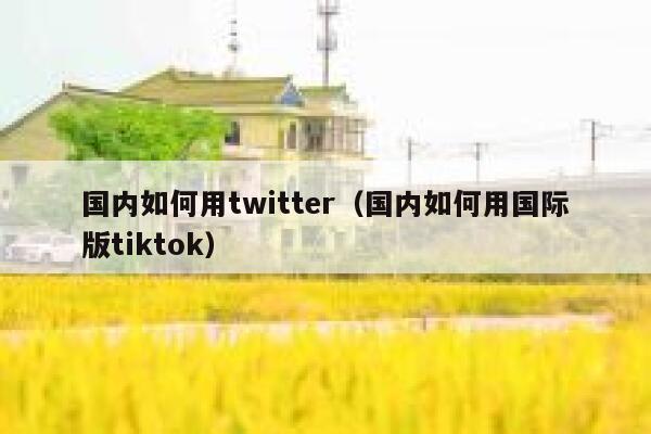 国内如何用twitter（国内如何用国际版tiktok） 第1张
