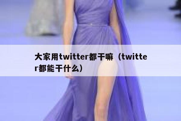 大家用twitter都干嘛（twitter都能干什么） 第1张