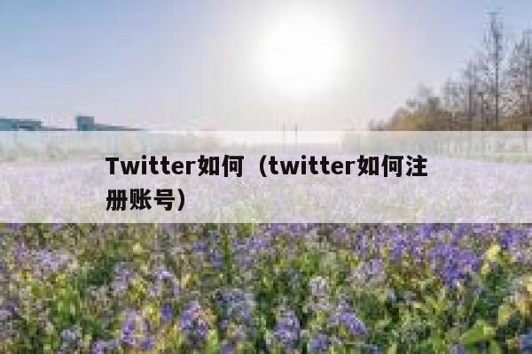Twitter如何（twitter如何注册账号） 第1张