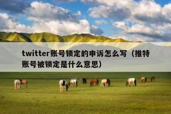twitter账号锁定的申诉怎么写（推特账号被锁定是什么意思） 第1张