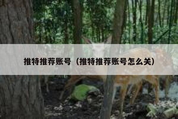 推特推荐账号（推特推荐账号怎么关） 第1张