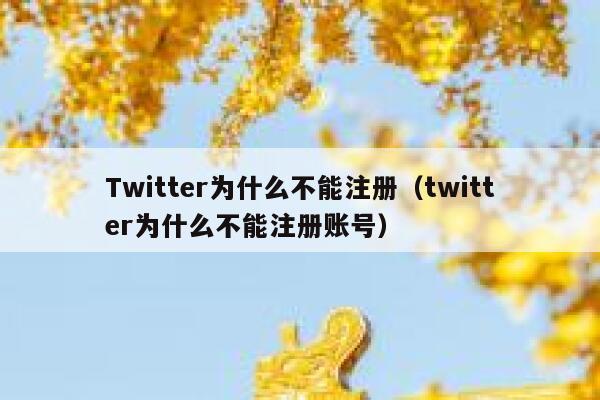 Twitter为什么不能注册（twitter为什么不能注册账号） 第1张