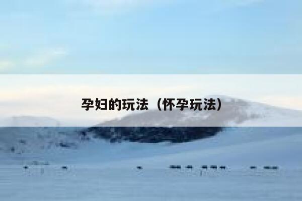 孕妇的玩法（怀孕玩法） 第1张