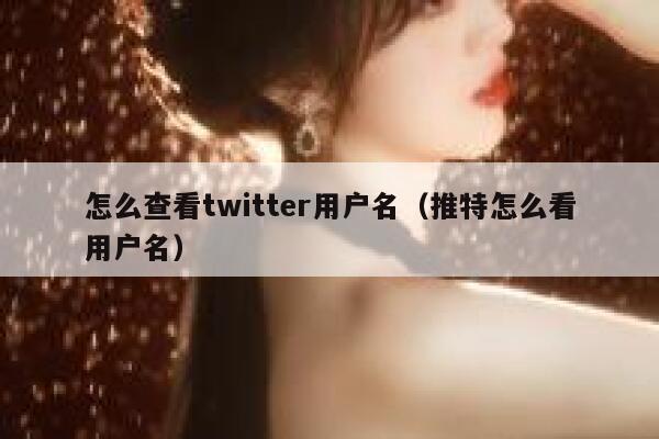 怎么查看twitter用户名（推特怎么看用户名） 第1张