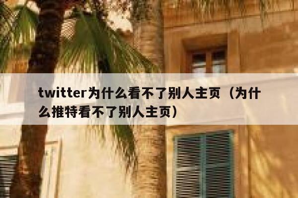 twitter为什么看不了别人主页（为什么推特看不了别人主页） 第1张