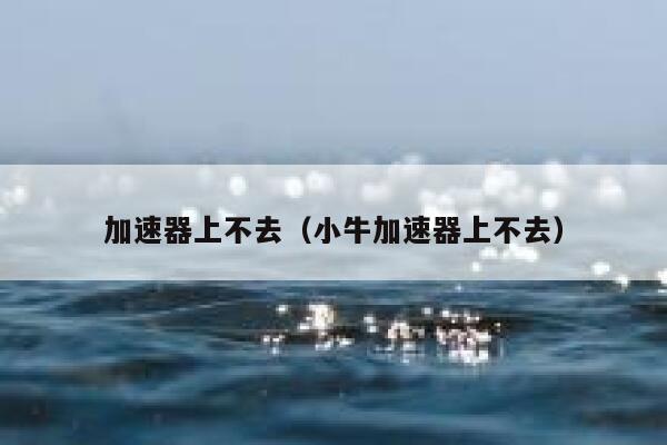 加速器上不去（小牛加速器上不去） 第1张