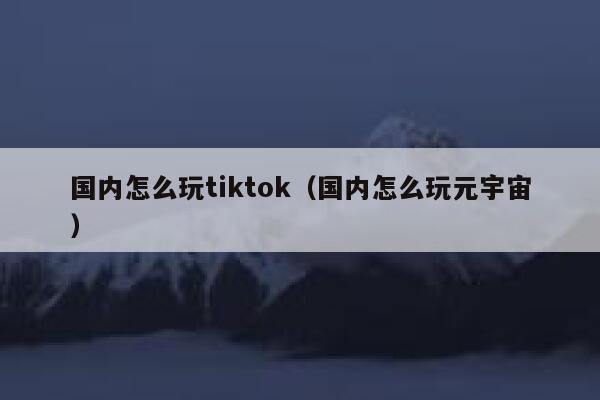 国内怎么玩tiktok（国内怎么玩元宇宙） 第1张